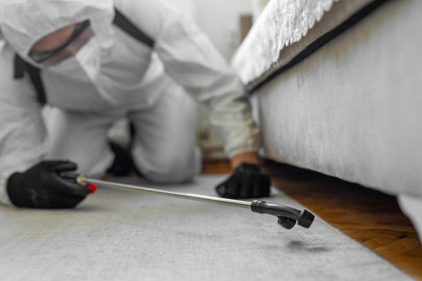 Professional Bed Bug Control technician working in Lake Holiday, IL