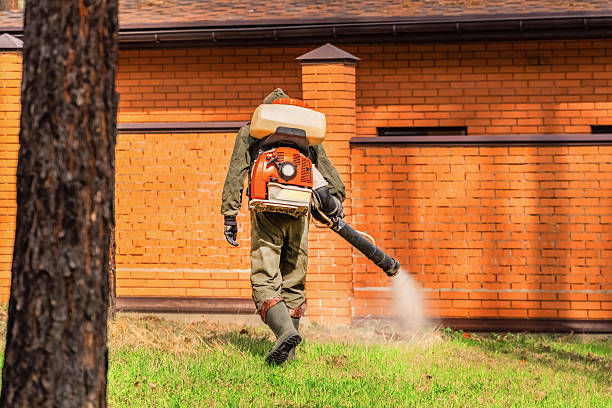 Trusted Cockroach Control service in Lake Holiday, IL - Nex Pest Control